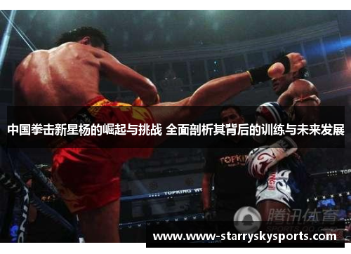 中国拳击新星杨的崛起与挑战 全面剖析其背后的训练与未来发展