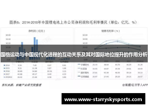 国格运动与中国现代化进程的互动关系及其对国际地位提升的作用分析
